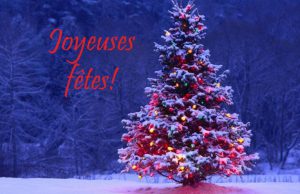 joyeuses-fetes